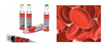 Vitamin B12 Online Training Course